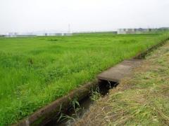 物件_981-1の写真2