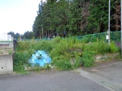 物件_1716-1の写真1