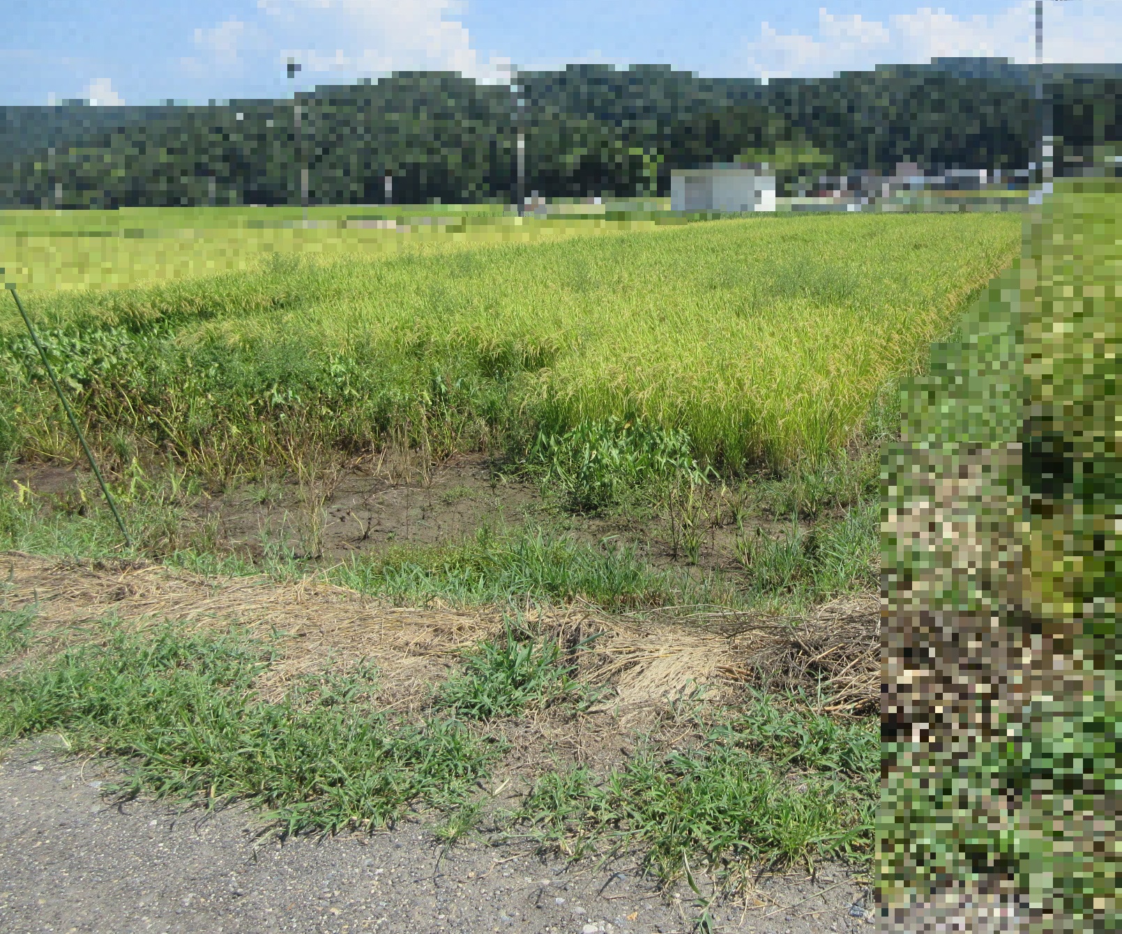 物件_908-9の写真