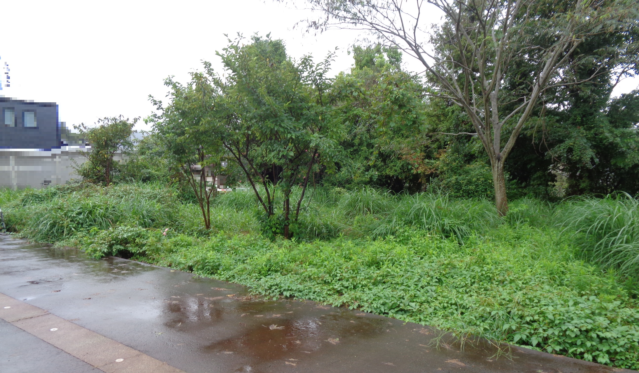 物件_1690-1の写真