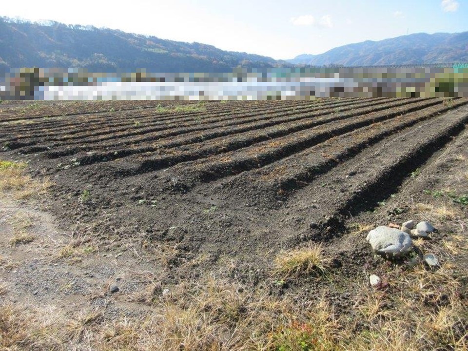 物件_1993-2の写真