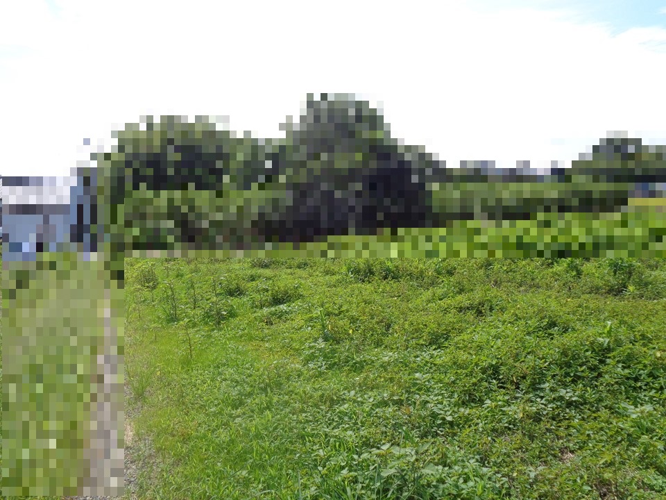 物件_2029-2の写真