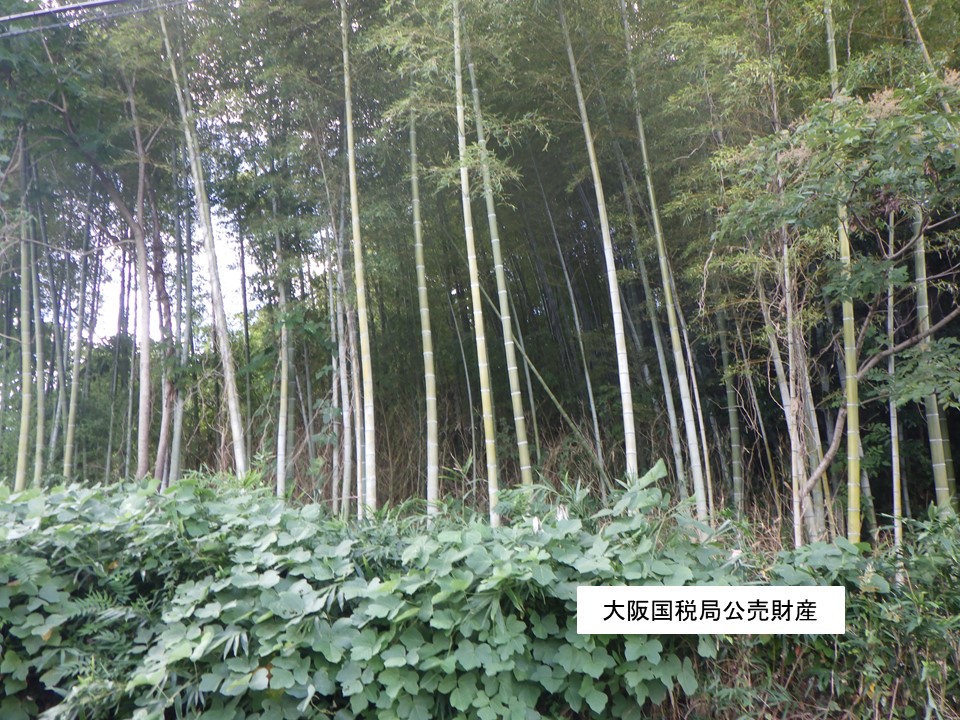 物件_952-1の写真