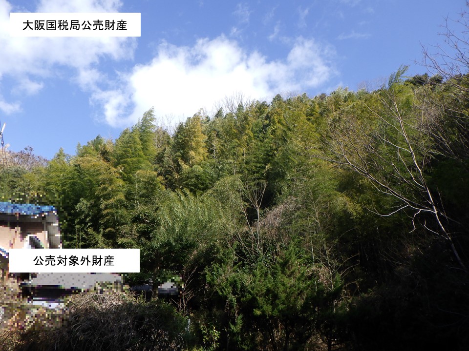 物件_987-1の写真