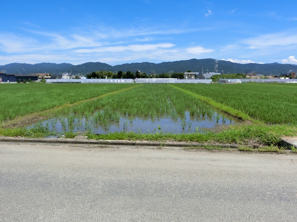 物件_846-3の写真