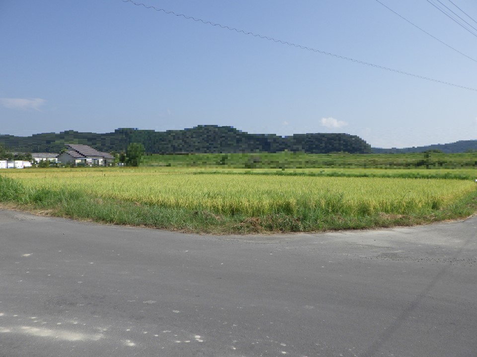 物件_938-1の写真