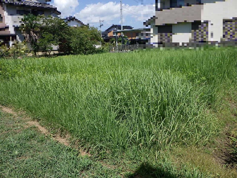物件_940-1の写真
