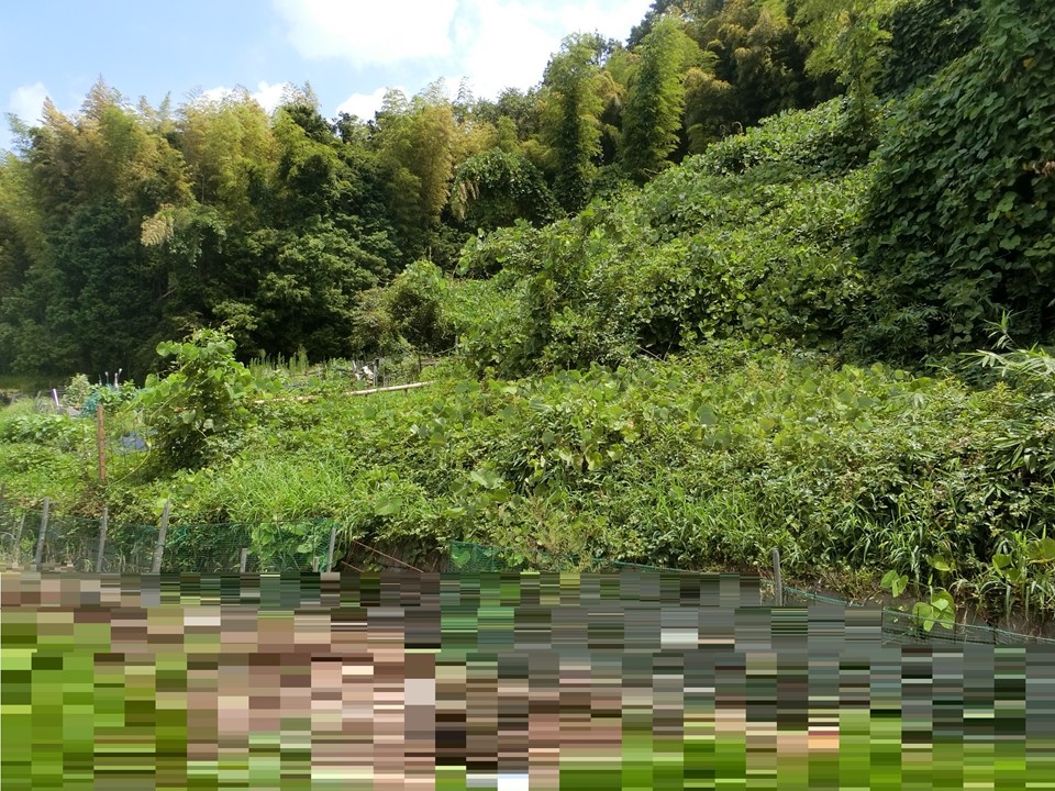 物件_941-4の写真