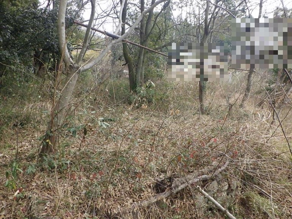 物件_1038-3の写真