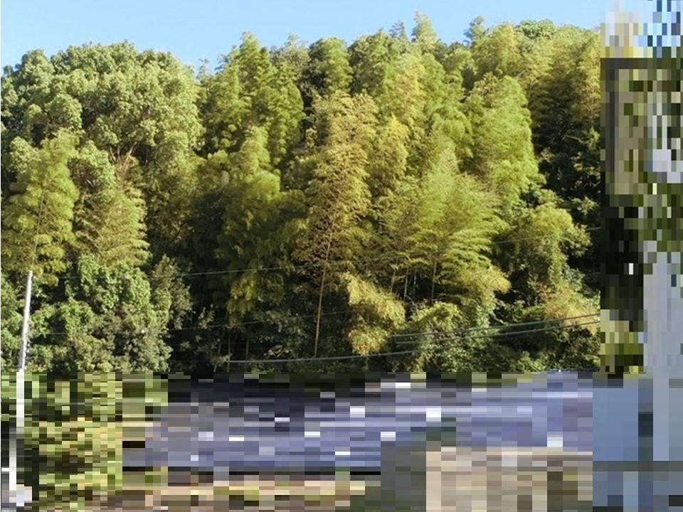 物件_1044-1の写真