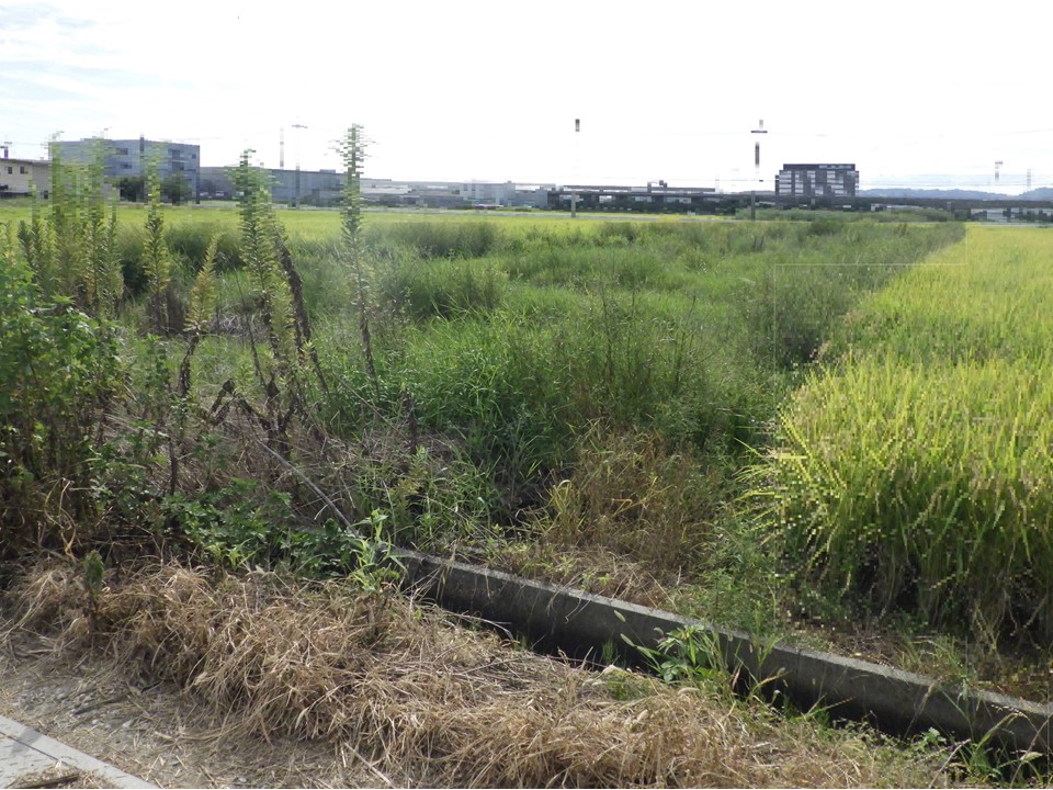 物件_1045-1の写真