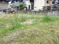 物件_1109-1の写真2