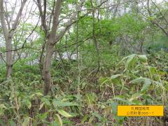 物件_368-1の写真2