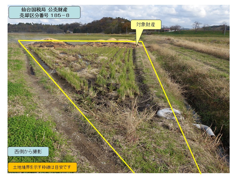 物件_185-8の写真