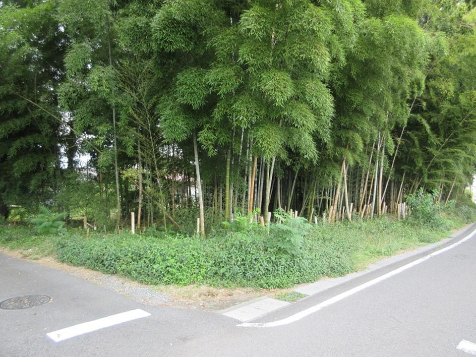 物件_906-2の写真