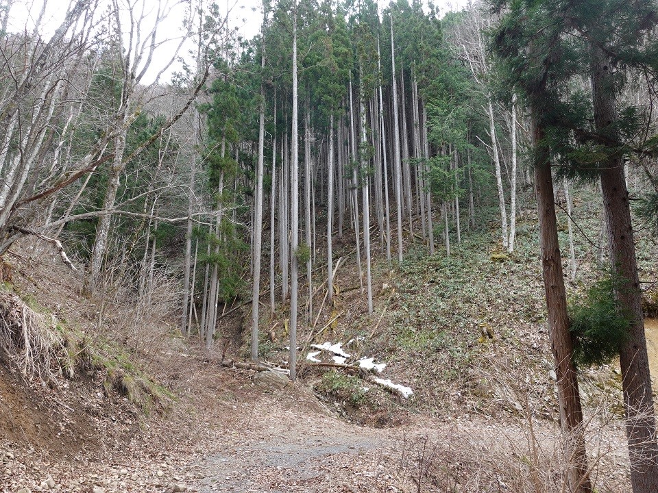 物件_1020-1の写真