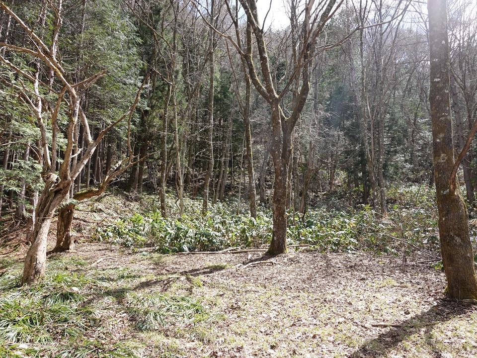 物件_1020-2の写真