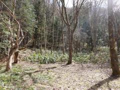 物件_1020-2の写真1