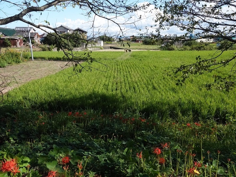 物件_616-3の写真