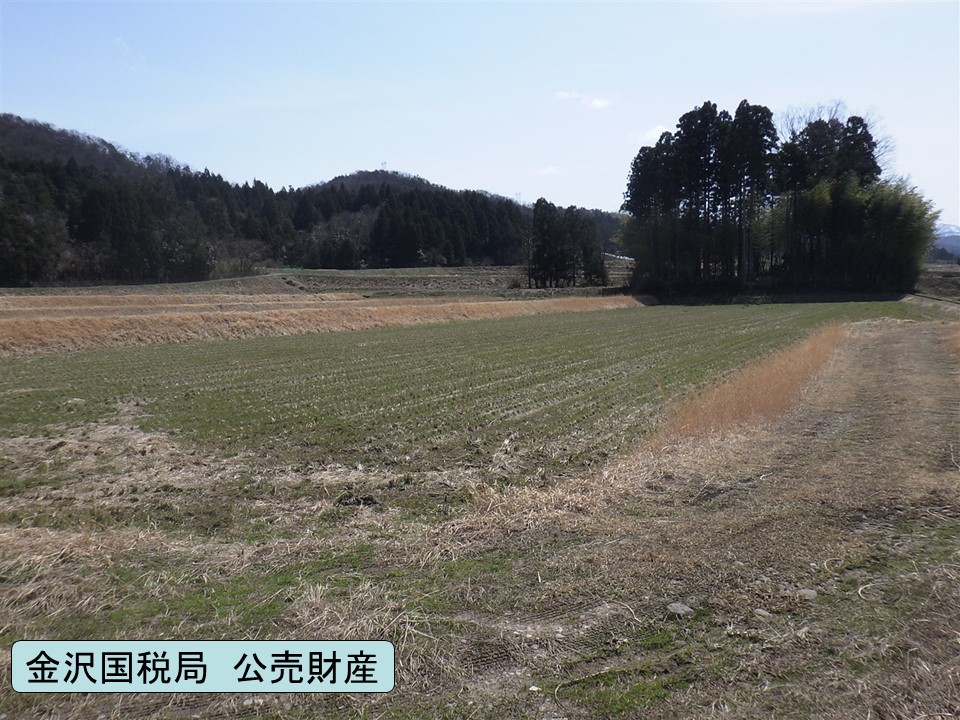 物件_155-4の写真