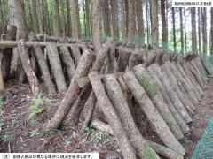 物件_276-4の写真2