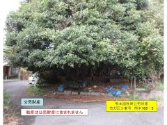 物件_185-3の写真4