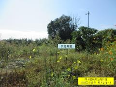 物件_216-1の写真2
