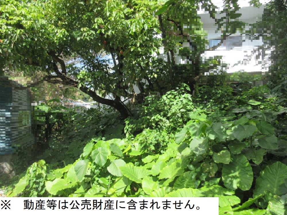 物件_402-2の写真