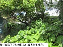 物件_402-2の写真1