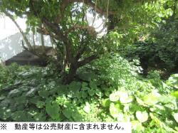 物件_402-2の写真2