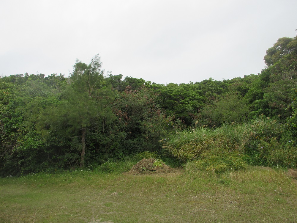 物件_407-1の写真