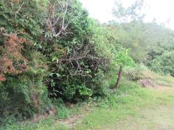 物件_407-1の写真2