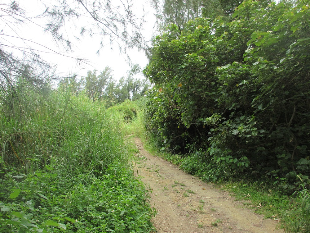 物件_407-2の写真