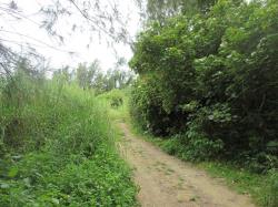 物件_407-2の写真1