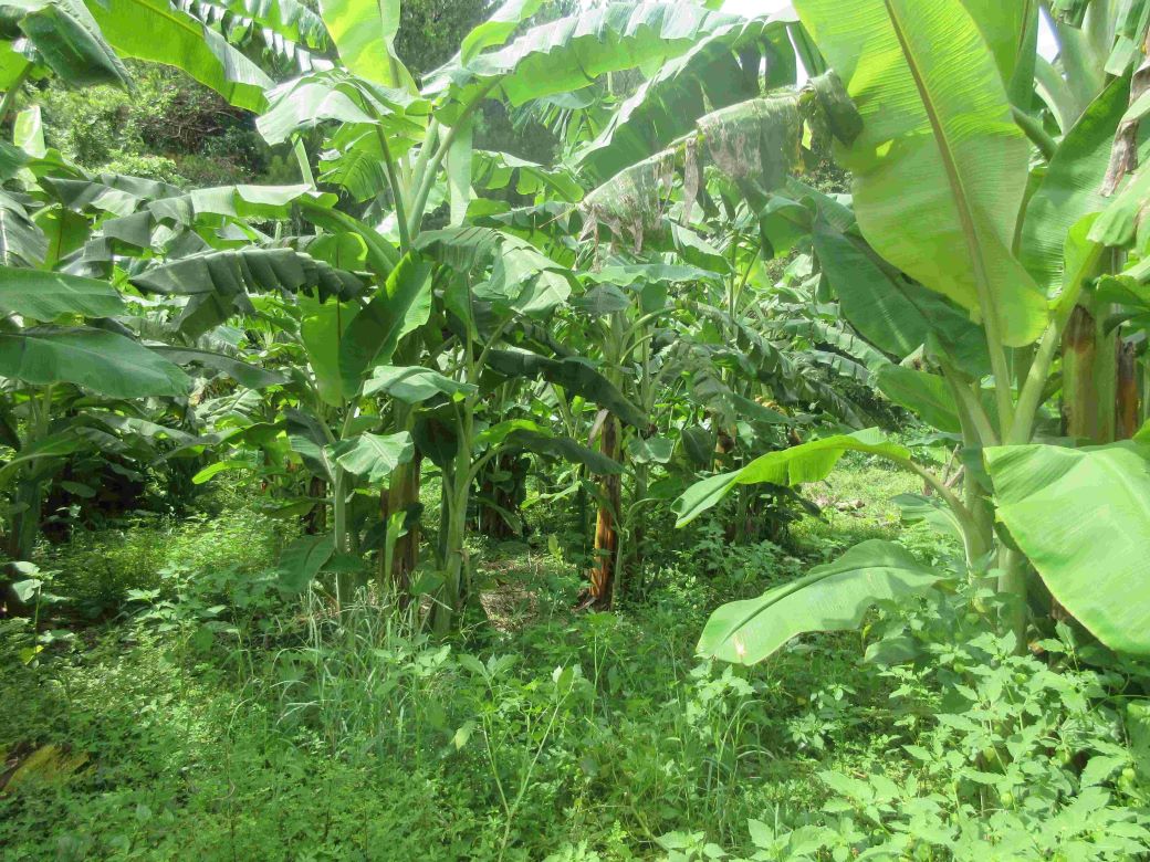 物件_410-1の写真